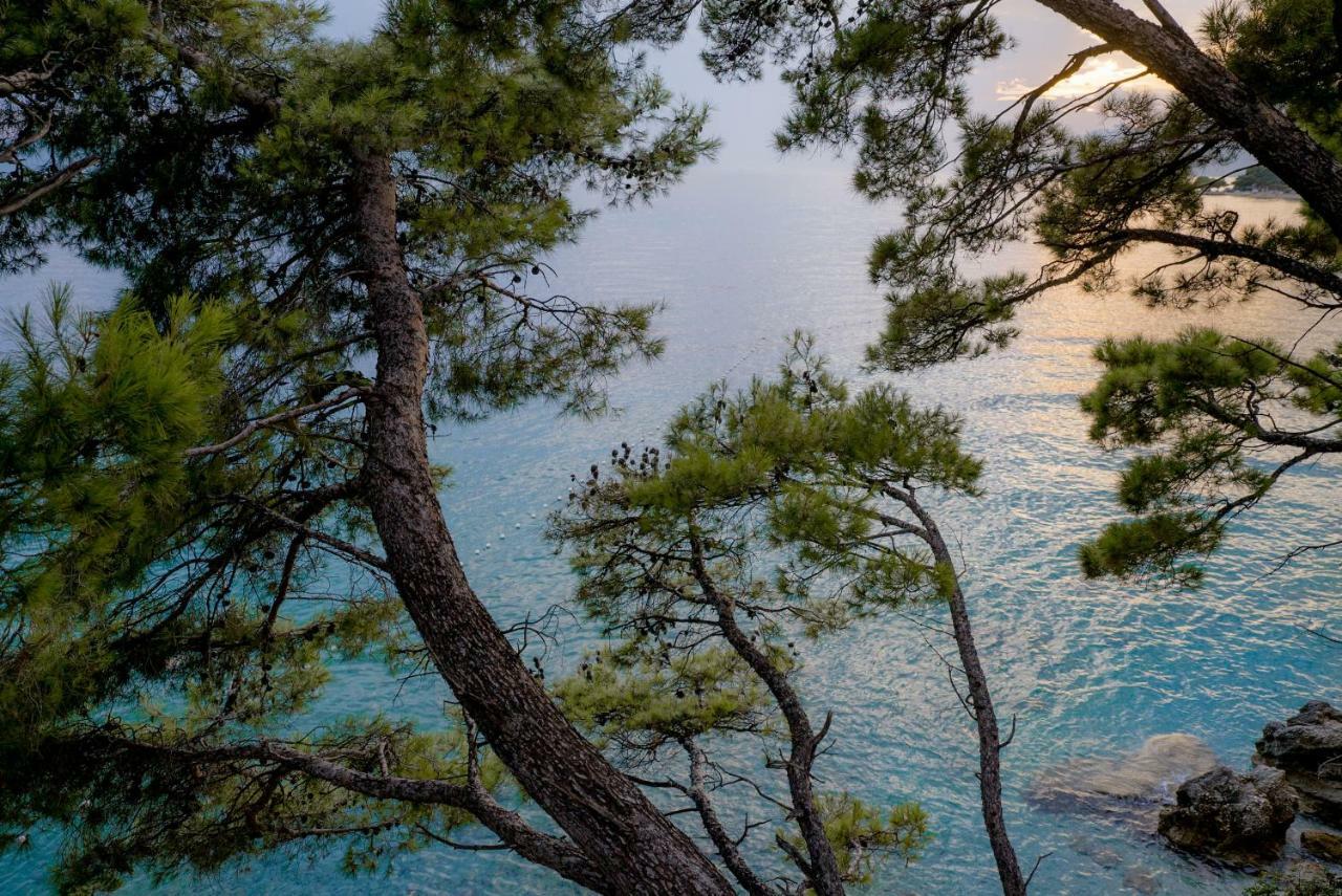Villa Astra Brela Εξωτερικό φωτογραφία
